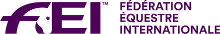 FEI logo